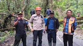 Foto: Kalak BPBD, Kadishub, dan OPD Terkait dalam giat pemangkasan pohon jalur Pusuk - Sembalun