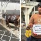Foto: Warga Penerima Sapi Qurban dari Pemda Lombok Timur
