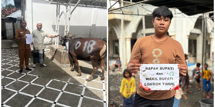 Foto: Warga Penerima Sapi Qurban dari Pemda Lombok Timur