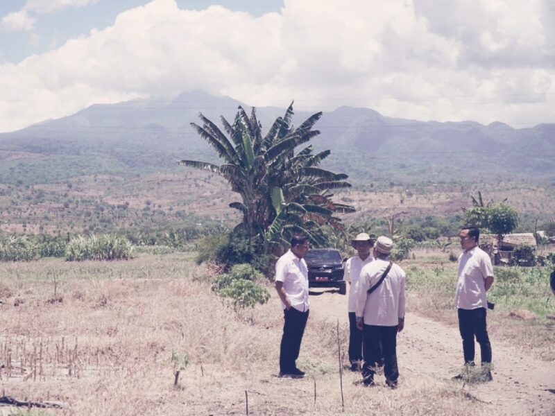 Foto: Bupati Lotim tinjau lokasi pembangunan Sekolah Garuda di wilayah Pringgabaya Lombok Timur