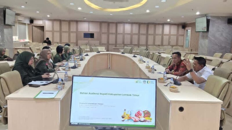 Foto: Bupati dan Sekda Lotim saat audiensi di Bapanas