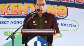Foto: Wakil Bupati saat pidato membuka Panen Benih Kentang di Sembalun
