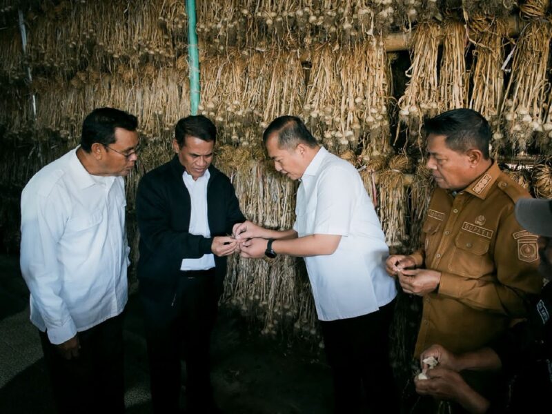 Foto: Mentan RI, Andi Amran Sulaiman, didampingi Gubernur NTB dan Bupati Lombok Timur meninjau hasil bawang putih warga Sembalun Lombok Timur