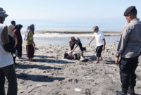 Foto: Kapolsek Labuhan Haji saat evakuasi korban ODGJ di pesisir pantai Labuhan Haji