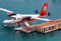 Foto: ilustrasi sea plane